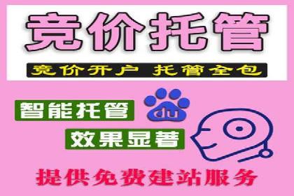 百度SEO推广公司案例：如何快速提升网站排名