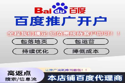 搜索引擎营销（SEM）在本地市场的投放案例